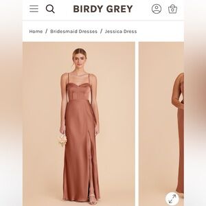 Birdy Grey Jessica Dress in Desert Rose size Medium